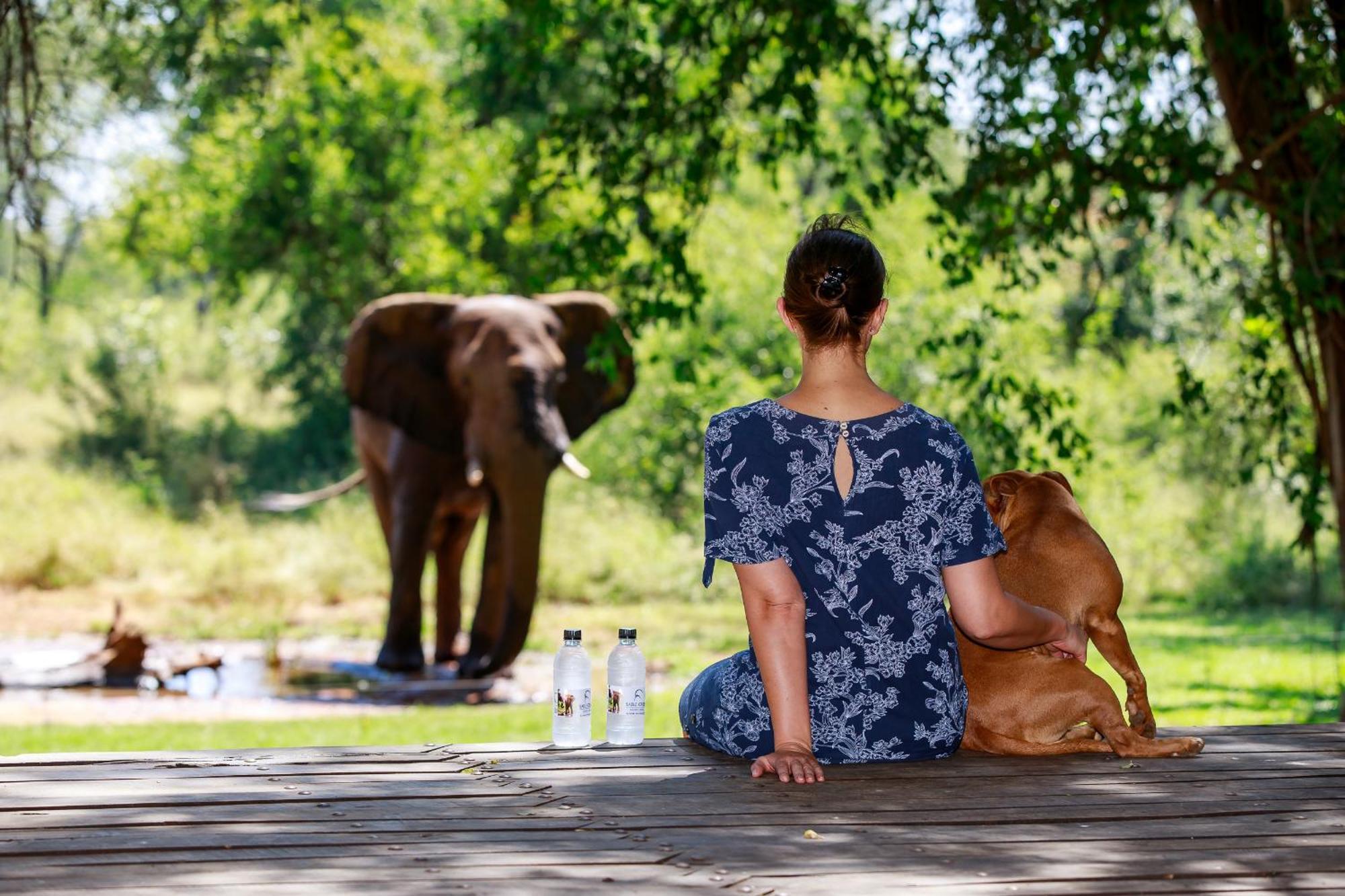 Sable Creek Safari Lodge Цанін Екстер'єр фото