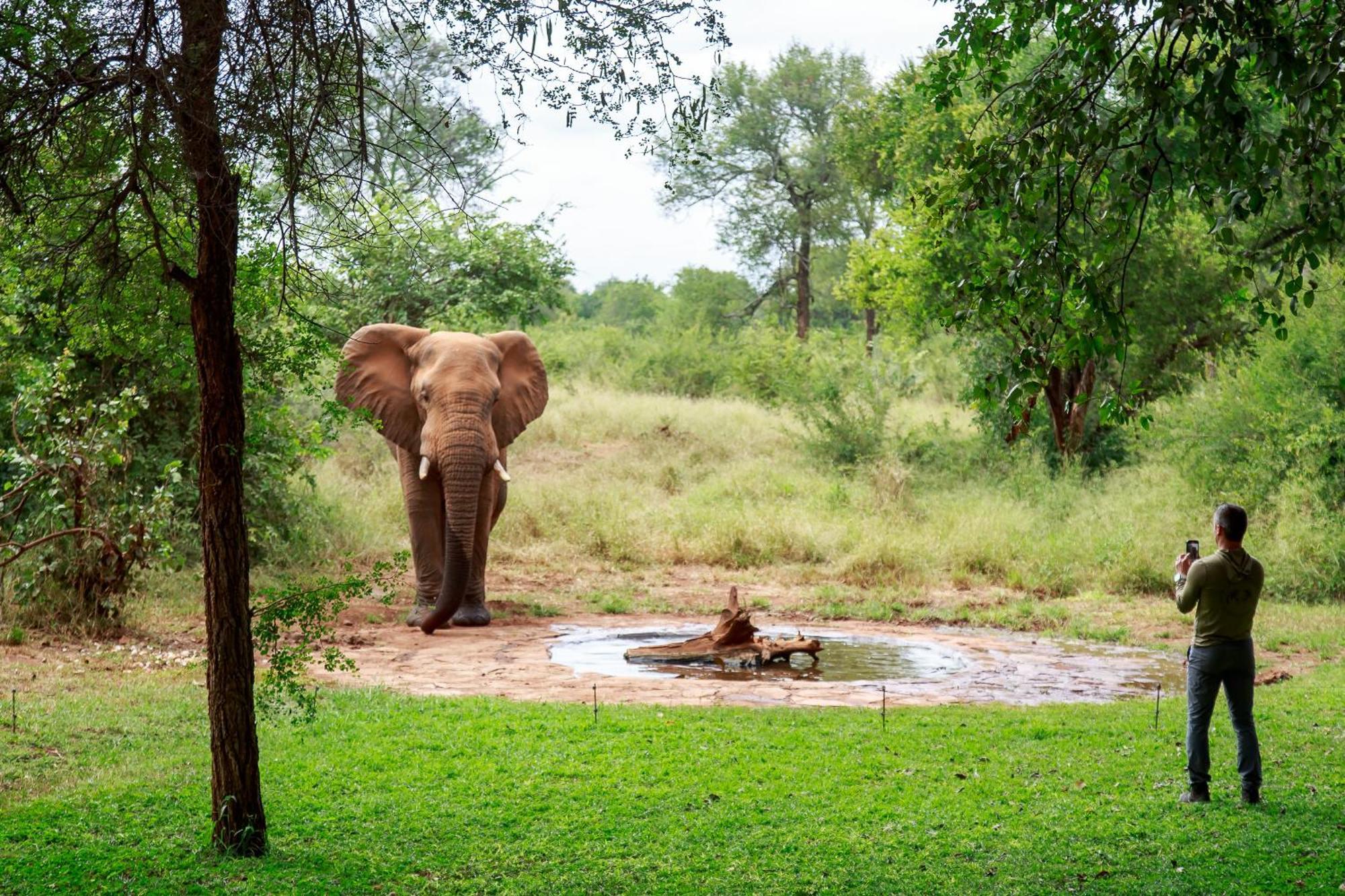 Sable Creek Safari Lodge Цанін Екстер'єр фото